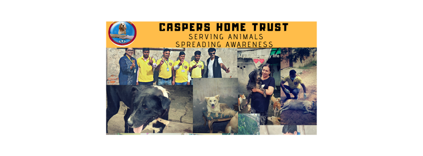 CHT || Casper's Home Trust